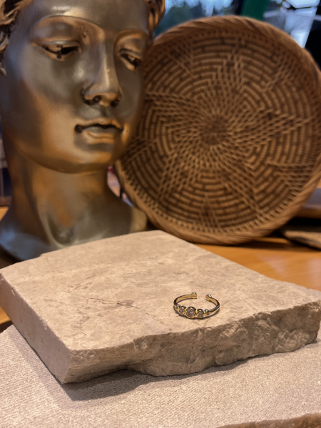 Sıralı Taş İnce Yüzük