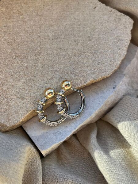 Gümüş Taşlı Altın Renkli Halkalı Küpe