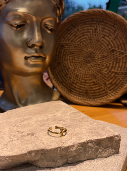 Taşlı Kutu İnce Yüzük